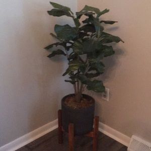 Meet your Posher, Jessy